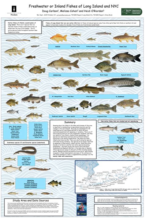 langisan fish|Oilfish .